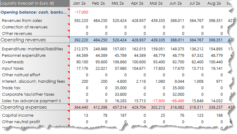 Der Perfekte Liquiditätsplan auf Englisch Liquidity forecast, Liquidity planning